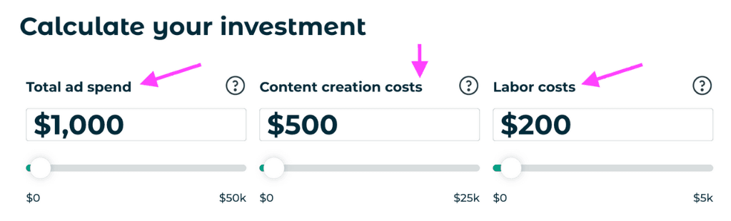 Screenshot of the social media ROI tool